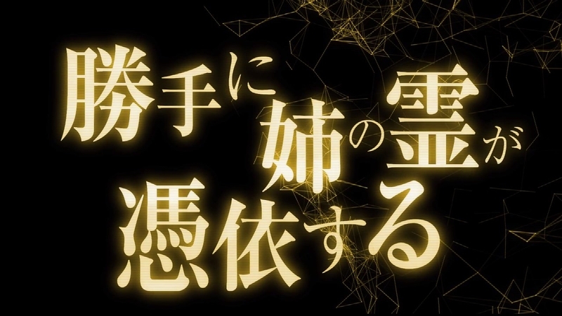 イメージ 13