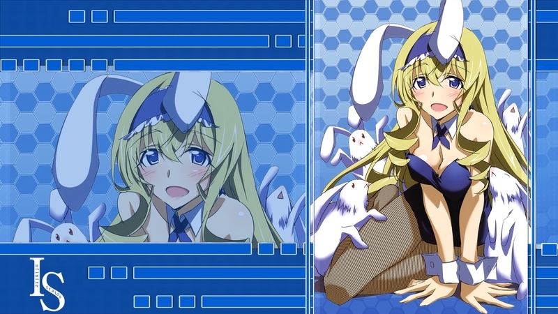イメージ 7