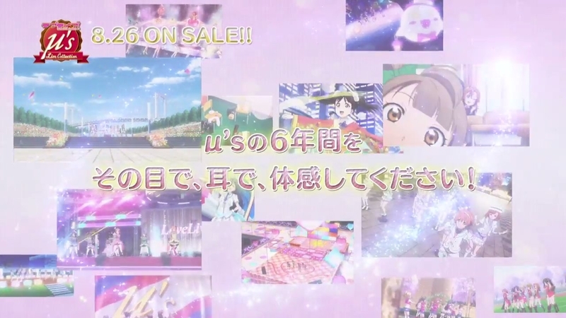 イメージ 31