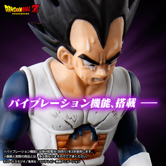 イメージ 7