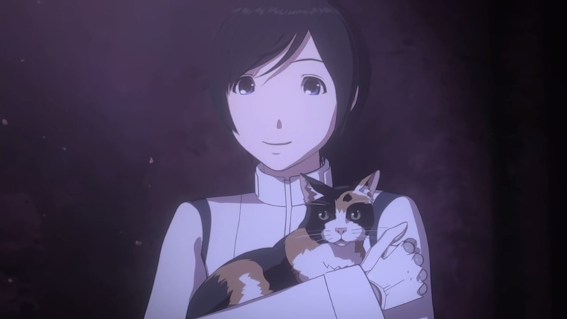 イメージ 19