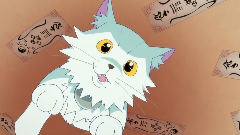 イメージ 15