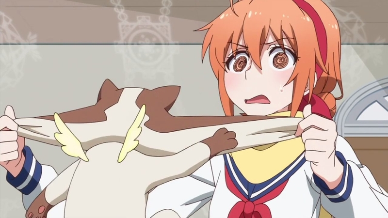 イメージ 13