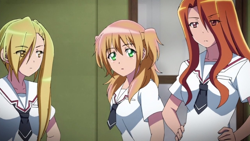 イメージ 5