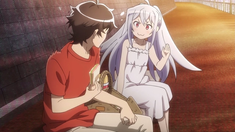 イメージ 8