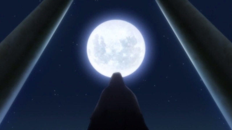 イメージ 31