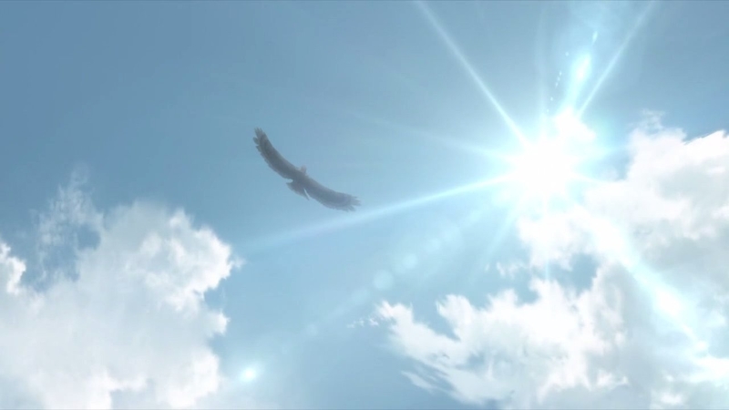イメージ 45