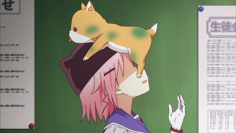イメージ 7