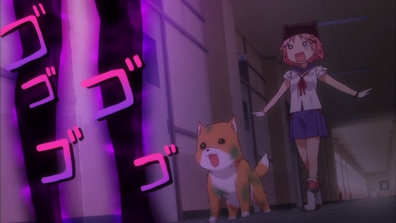 イメージ 8