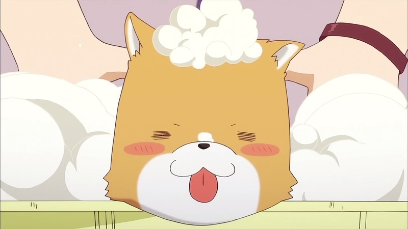 イメージ 10