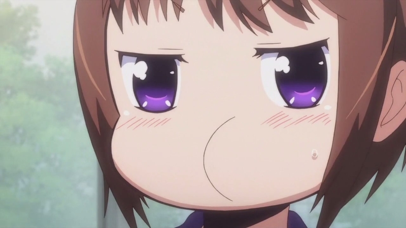 イメージ 15