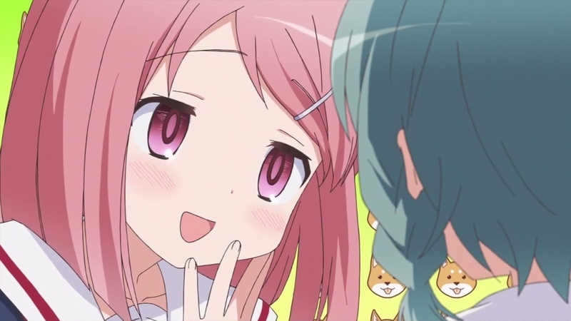 イメージ 17