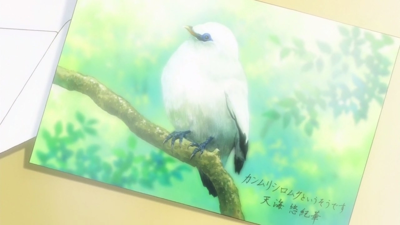 イメージ 42