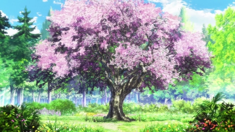 イメージ 45