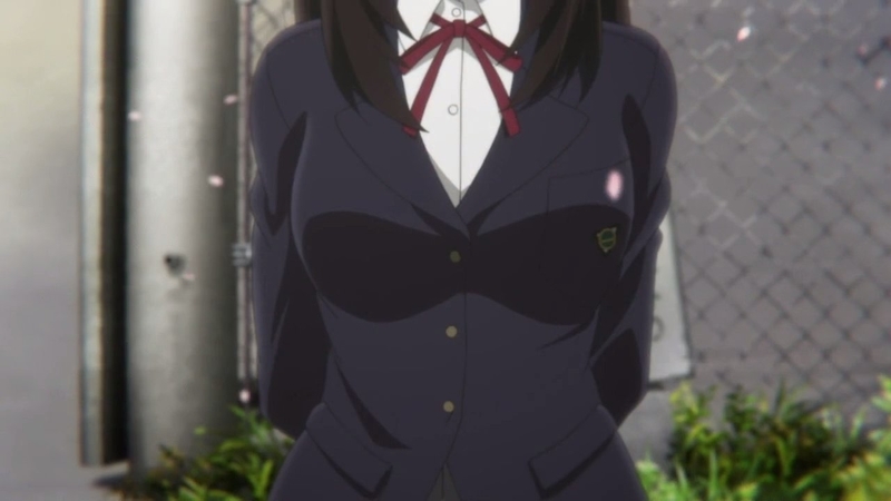 イメージ 5