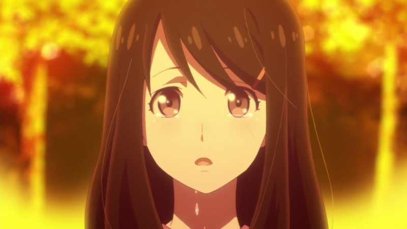 イメージ 41