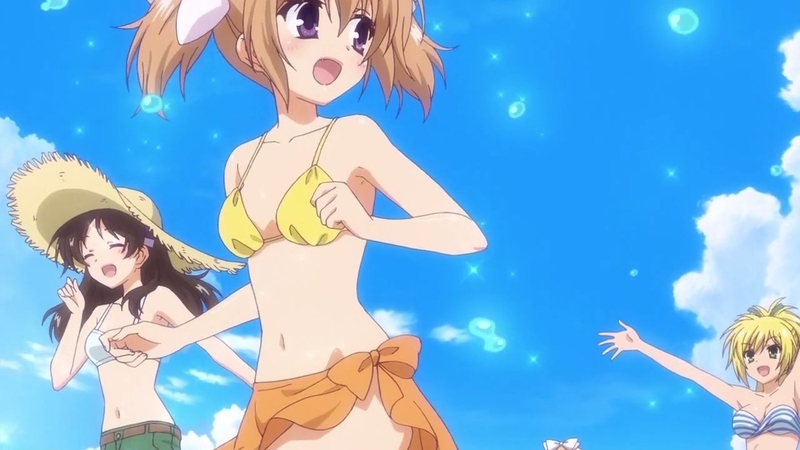 イメージ 22