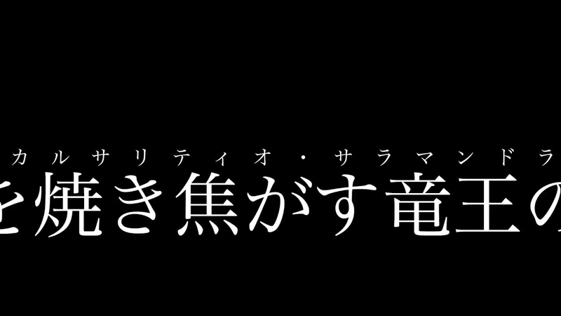 イメージ 13