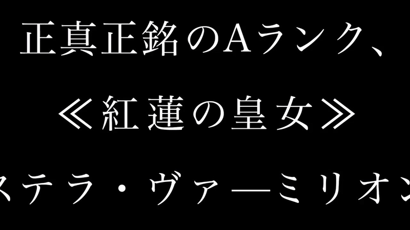 イメージ 10