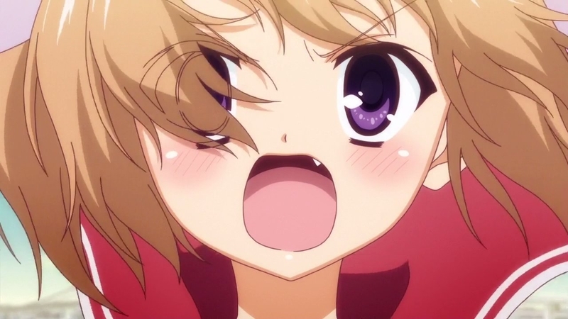 イメージ 18