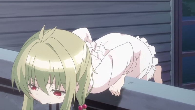イメージ 6