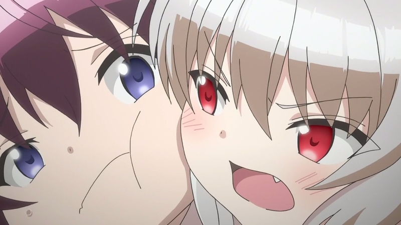 イメージ 7