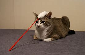 f:id:bbaannm122:20180413011501j:plain f:id:bbaannm122:20180413011501j:plain