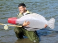 20120227223244