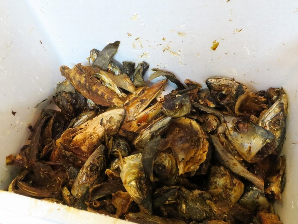 f:id:bbhotstp:20180425070455j:plain