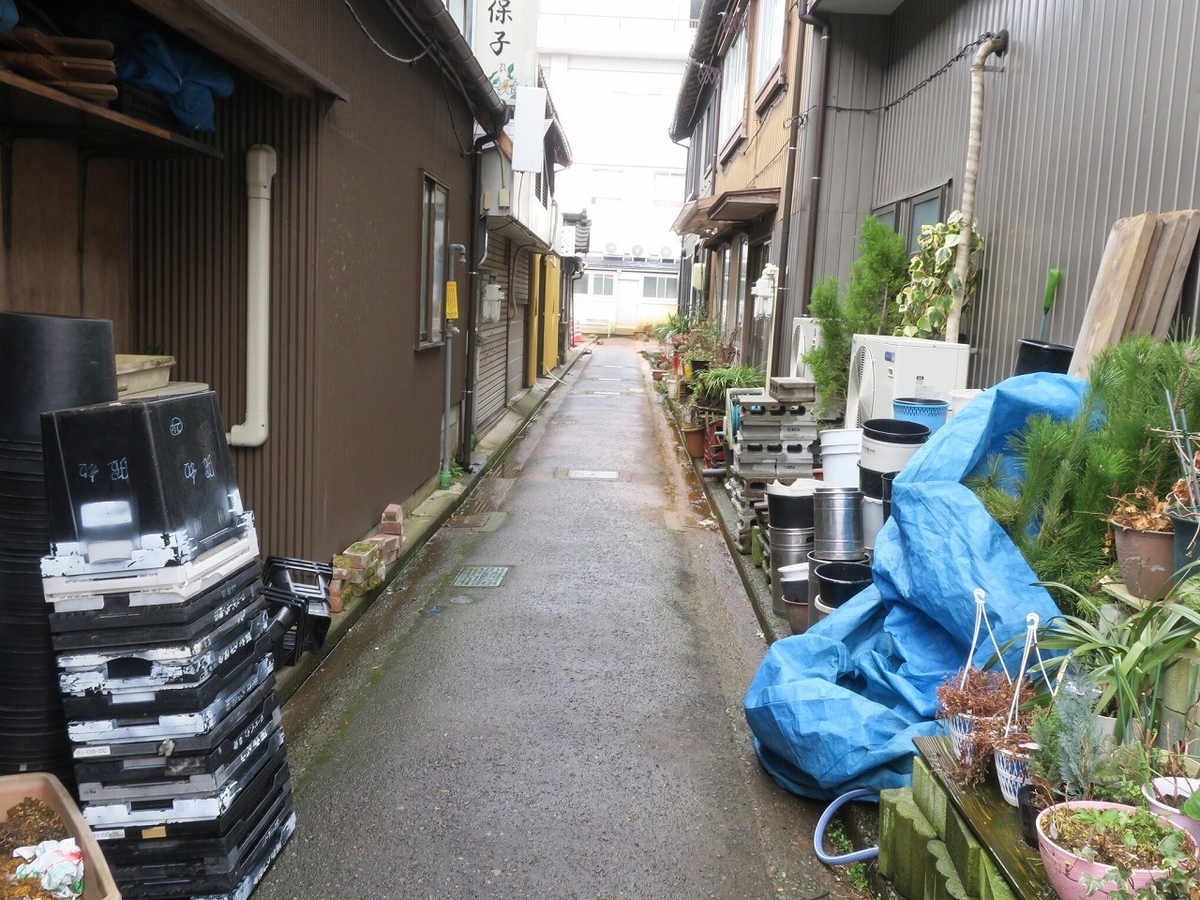f:id:bbhotstp:20190316161151j:plain f:id:bbhotstp:20190316161151j:plain