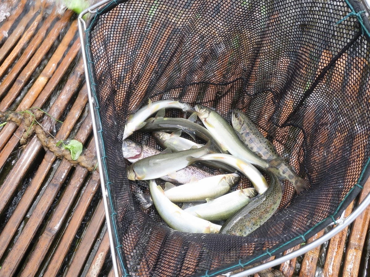 f:id:bbhotstp:20190622171119j:plain f:id:bbhotstp:20190622171119j:plain