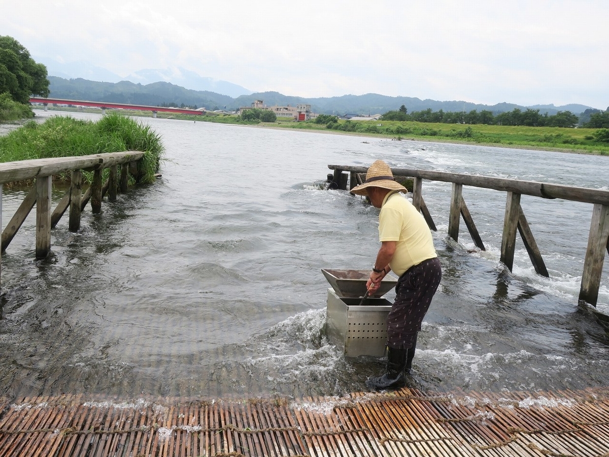 f:id:bbhotstp:20190624000308j:plain f:id:bbhotstp:20190624000308j:plain