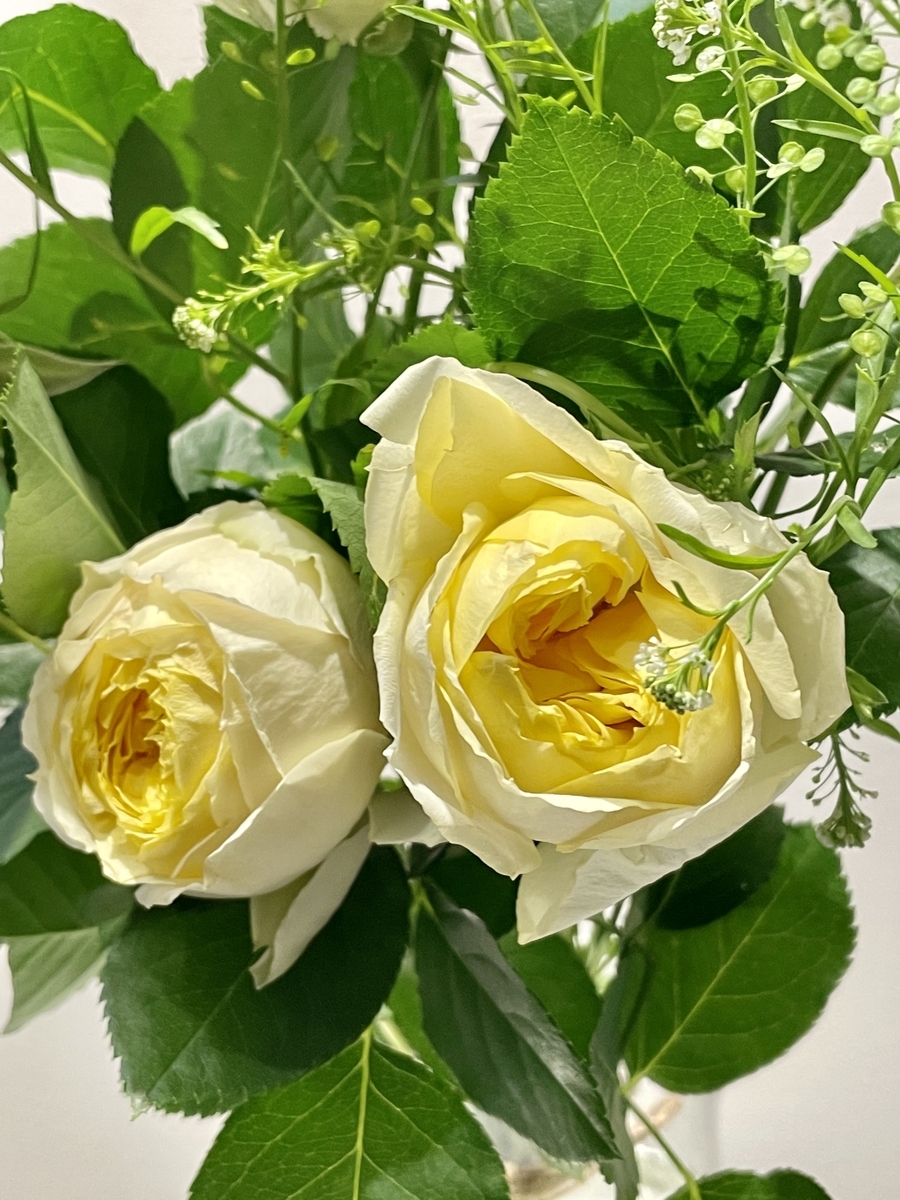 f:id:bbmedia:20220325115834j:plain