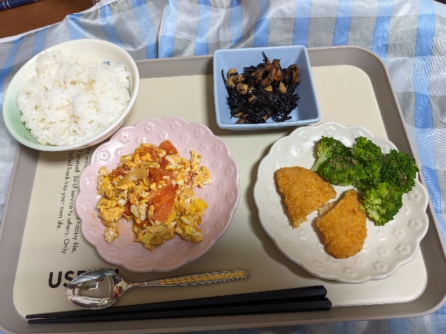 f:id:bbpersonalhistoryB:20240529101132j:image