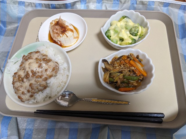 f:id:bbpersonalhistoryB:20240623152748j:image