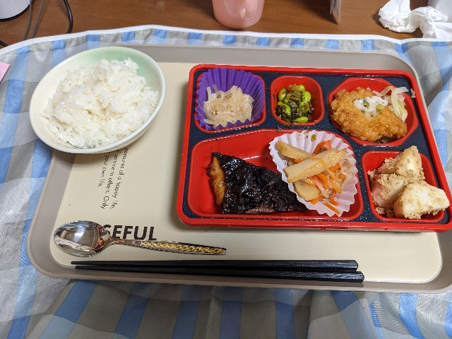 f:id:bbpersonalhistoryB:20240624183850j:image