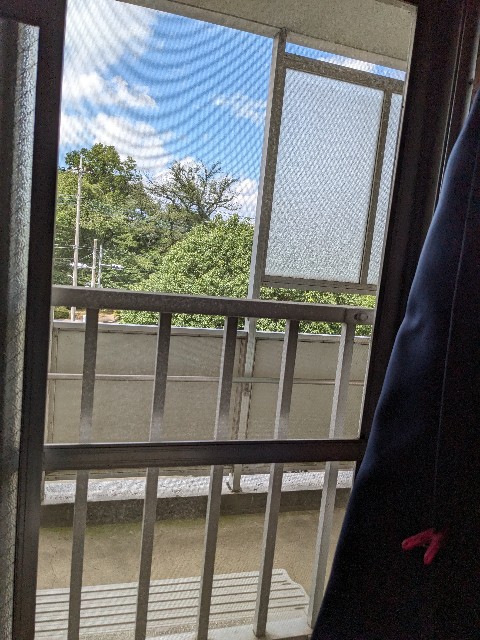 f:id:bbpersonalhistoryB:20240629140630j:image
