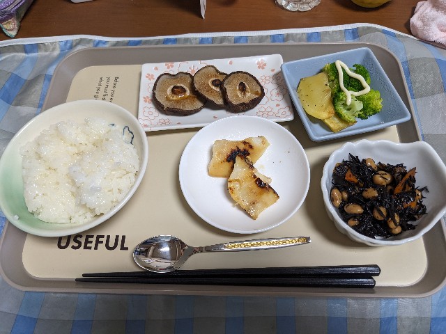 f:id:bbpersonalhistoryB:20240918085335j:image