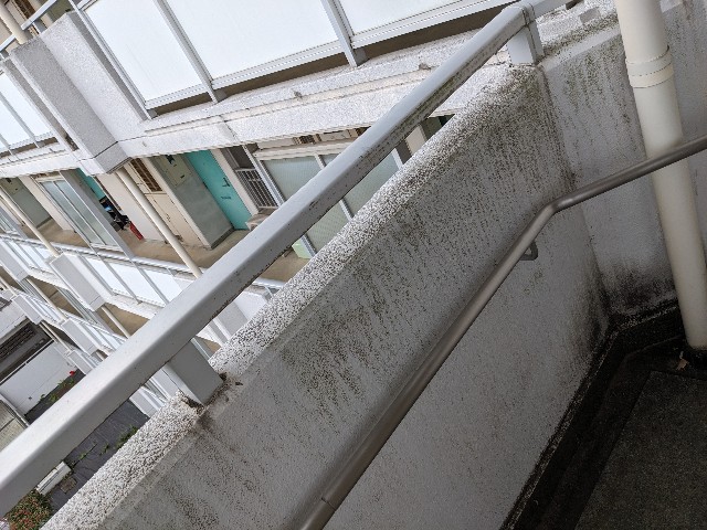 f:id:bbpersonalhistoryB:20241026154404j:image