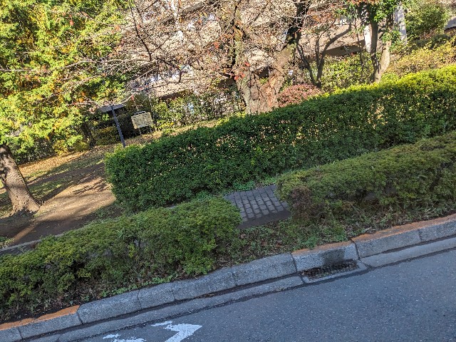 f:id:bbpersonalhistoryB:20241122112119j:image
