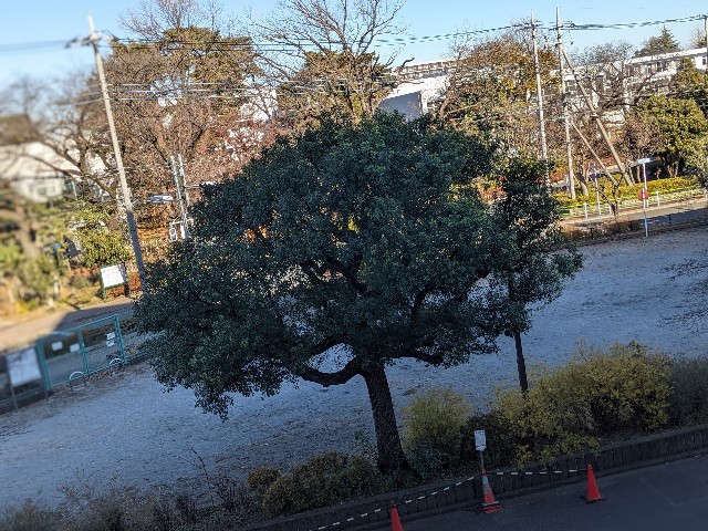 f:id:bbpersonalhistoryB:20241228141034j:image