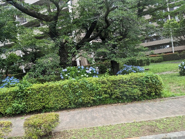 f:id:bbpersonalhistoryB:20250620135403j:image