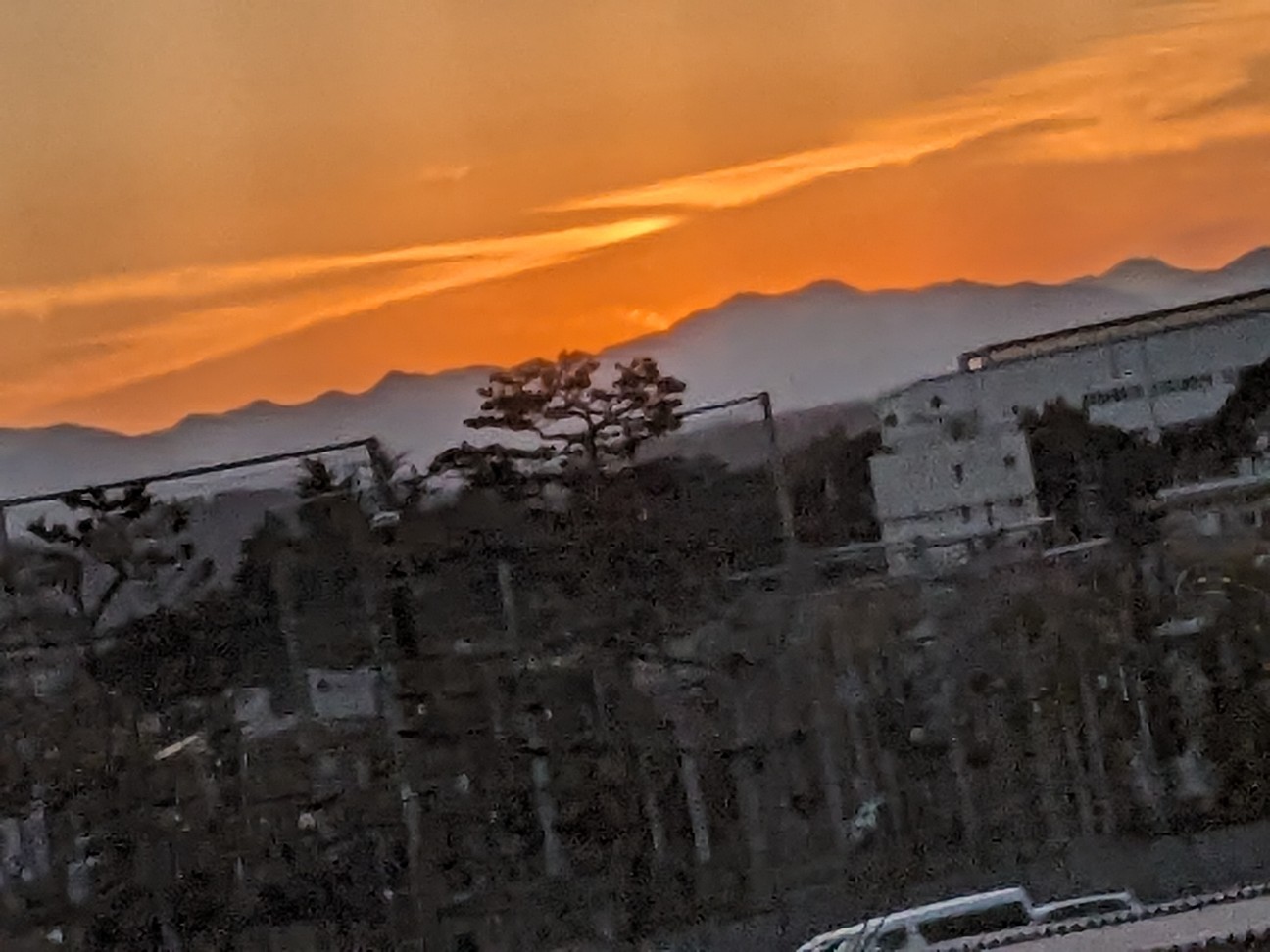 f:id:bbpersonalhistoryB:20251124113818j:image