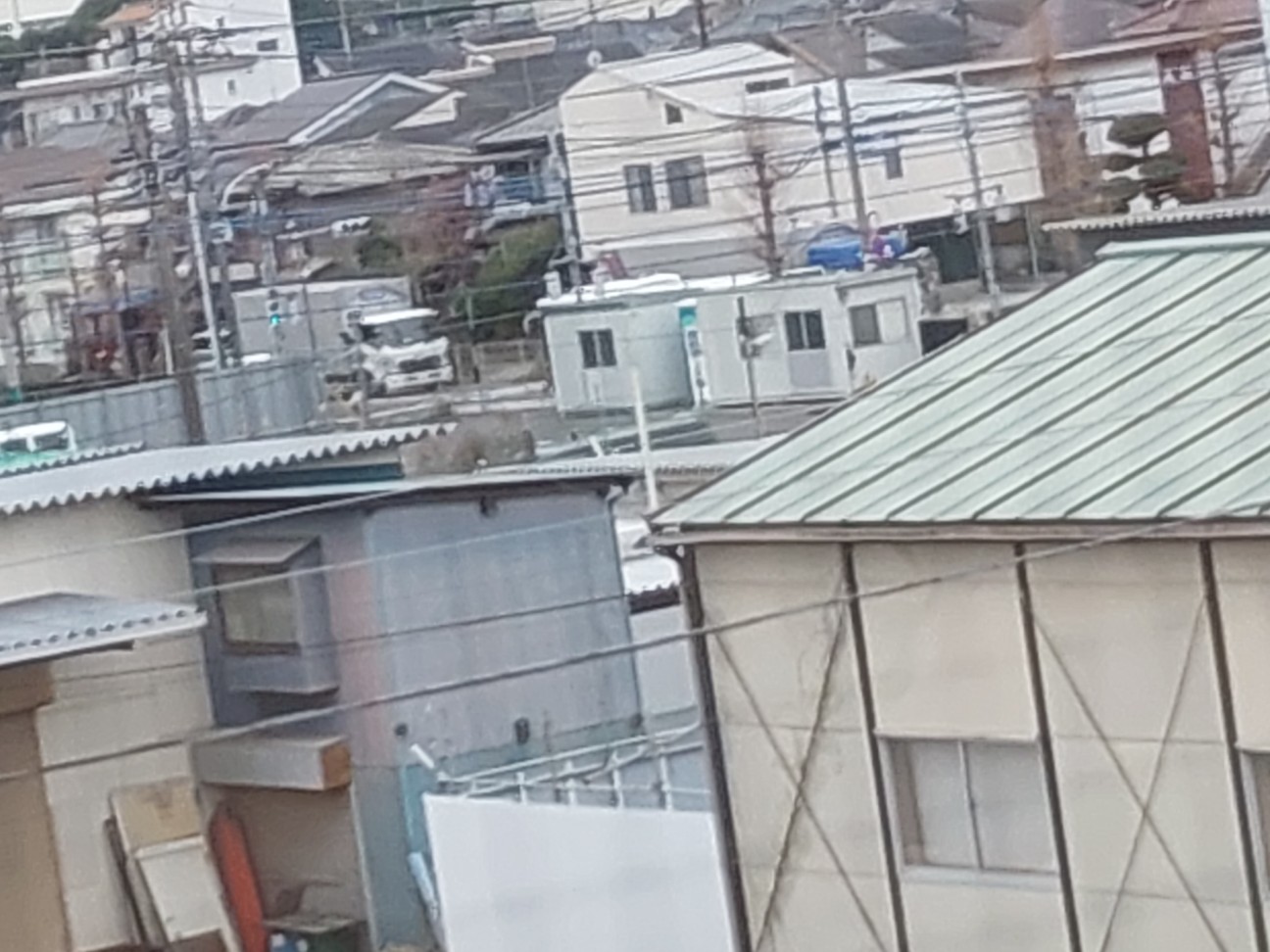 f:id:bbpersonalhistoryB:20260320091017j:image f:id:bbpersonalhistoryB:20260320091017j:image