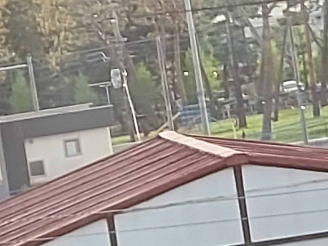 f:id:bbpersonalhistoryB:20260415171309j:image