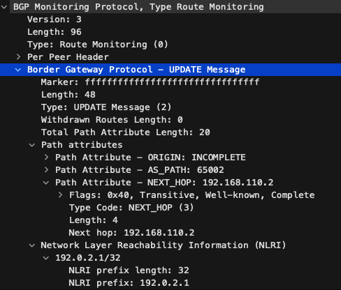Wireshark画面でのBGP Monitoring ProtocolパケットでタイプがRoute Monitoringのキャプチャのスクリーンショット。