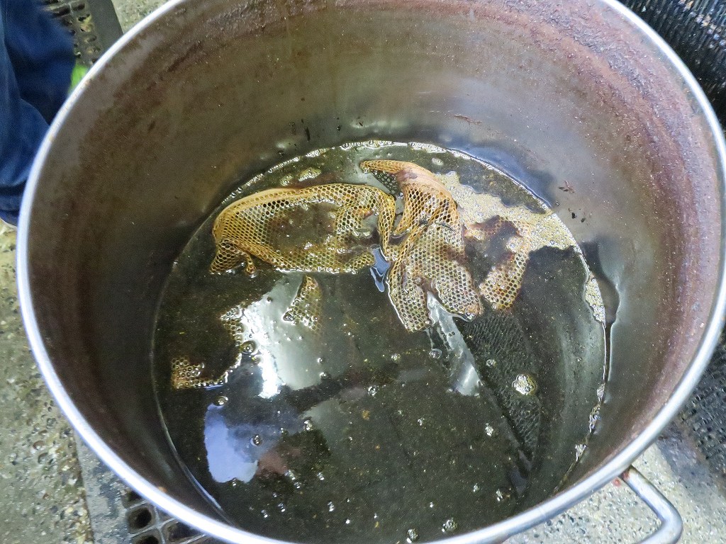グルメレポ グルメレポ