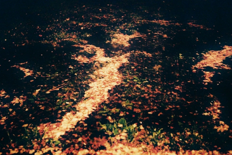 f:id:bcshashin:20130408234039j:image