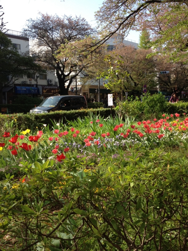 f:id:bcshashin:20130409150503j:image
