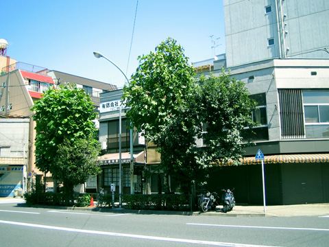 f:id:bctmmy:20080819104802j:image